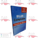 bilan comptable