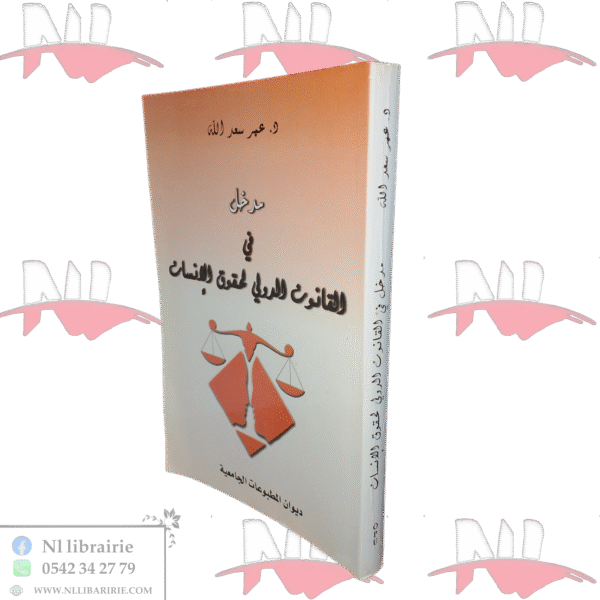مدخل في القانون الدولي لحقوق الإنسان