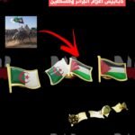 دبابيس أعلام الجزائر وفلسطين (3دبابيس)