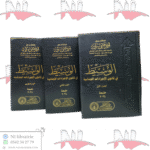 الوسيط في قانون الإجراءات الجنائية 3/3