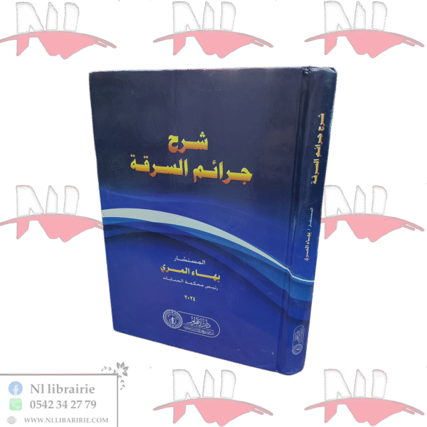 شرح جرائم السرقة