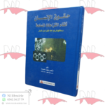 حقوق الإنسان أثناء النزاعات المسلحة