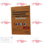LES JURISPRUDENCES MARQUANTES EN DROIT SOCIAL EN SCHÉMAS