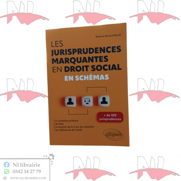 LES JURISPRUDENCES MARQUANTES EN DROIT SOCIAL EN SCHÉMAS